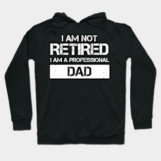 I am not retired I am a professional dad Hoodie